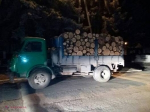 Râşcani // Bovine, în ARESTUL poliţiei