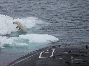 FOTO // Un submarin nuclear rus a spart gheaţa de la Cercul Polar, pentru arunca ceva peste bord. Acolo, a primit o vizită neaşteptată. Motivul TRIST din spatele incidentului