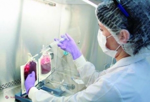  „Banca viitorului”, sub sechestru