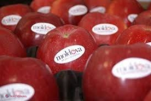 Produsele din R. Moldova sunt EXPORTATE în România FĂRĂ TAXE vamale