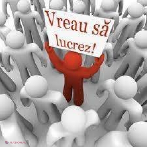 STATISTICI // Numărul șomerilor scade SEMNIFICATIV în R. Moldova