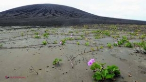 O echipă a NASA a mers pe cea mai nouă insulă din lume, apărută acum trei ani în Pacific. Este ULUITOR peste ce au dat primii oameni care au păşit acolo. Deocamdată, cercetătorii nu au o explicaţie clară