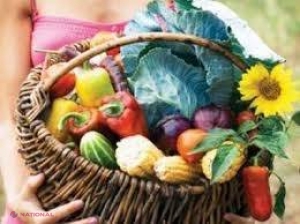 SFATURILE nutriționistului Tamara Șchiopu // Eu si E-urile din jurul meu