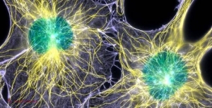 Cancerul ar putea deveni ISTORIE. Descoperirea uluitoare a cercetătorilor americani poate distruge maladia