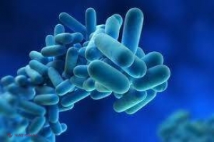 DEMONSTRAT // Locul prin care pătrund cele mai multe BACTERII în organism