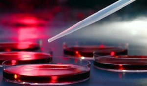 Descoperire științifică: „70%-90% din toate cazurile de cancer au această CAUZĂ”