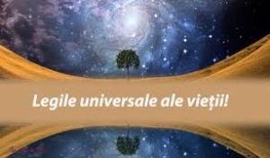 Legile VIEȚII care funcționează indiferent dacă crezi sau nu în ele!