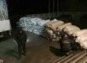 Trei camioane, cu țigări de CONTRABANDĂ! Este CEA MAI MARE captură din acest an