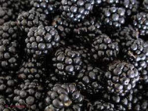 Care este cel mai SĂNĂTOS fruct din lume