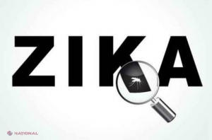 ZIKA // În Salvador s-au născut 13 copii fără microcefalie din mame infectate cu Zika 