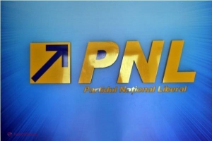 Partidul care l-a susținut pe Iohannis își extinde activitatea în R. Moldova