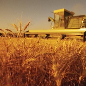 AGRICULTURA 2013: Pilon al economiei și cifre-record 