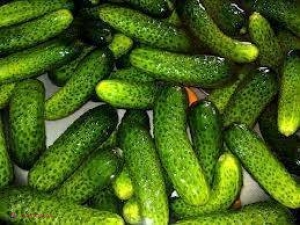 Primul lot de legume moldoveneşti a PLECAT în UE  