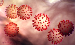 STUDIU // Noul coronavirus nu dispare decât după 70 de zile