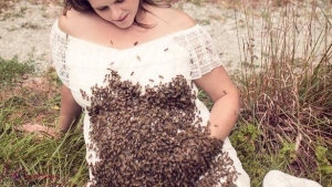 Ce a păţit această femeie însărcinată după ce 20.000 de albine s-au aşezat pe burtă ei! Totul s-a întâmplat într-un parc