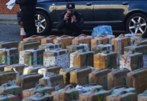 RECORD // O tonă de droguri, ascunse în cutii cu cartofi congelați