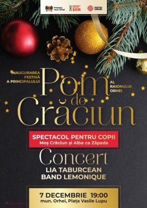 FOTO // La Orhei urmează să fie inaugurat cel MAI ÎNALT Pom de Crăciun din R. Moldova