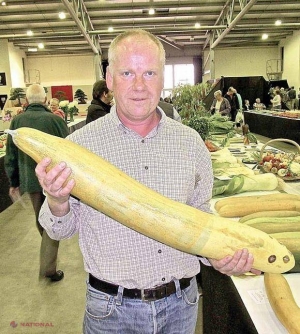 FOTO // O ceapă de 8 kg, o roșie de 5 kg și un dovlecel de un metru