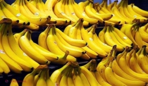 Bananele pe cale de dispariție. Prognoze DEZASTRUOASE 
