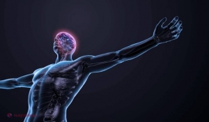 10 organe de care nu mai avem nevoie
