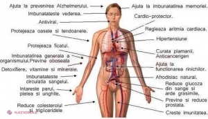 Această REȚETĂ SECRETĂ vindecă tot organismul. Iată cât de ușor se prepară