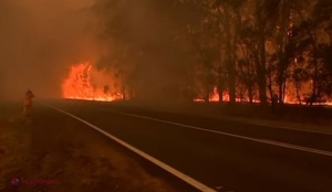 În Australia urmează să plouă, însă incendiile nu vor putea fi stinse