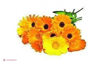 Cum tratezi acasă furunculele