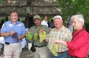 „Fructul zeilor”, pe marginea drumului? 