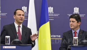 Corlăţean şi Sikorski cer românilor şi europenilor să cumpere vin moldovenesc, după boicotul rusesc