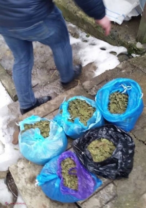 Afacere cu droguri de MII de euro, destructurată de poliție