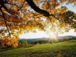 Temperaturi record pentru Republica Moldova! Fenomenul se întâmplă pentru prima dată