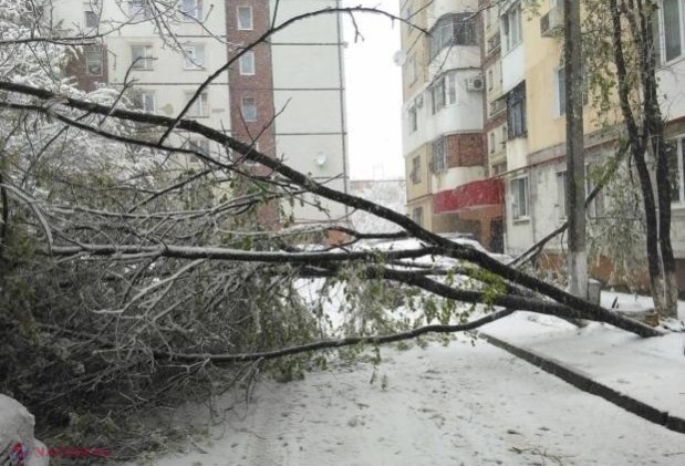 VIDEO // Premierul a cerut instituirea STĂRII DE URGENȚĂ în urma ninsorilor abundente. Șeful statului a dispus MOBILIZAREA totală a armatei