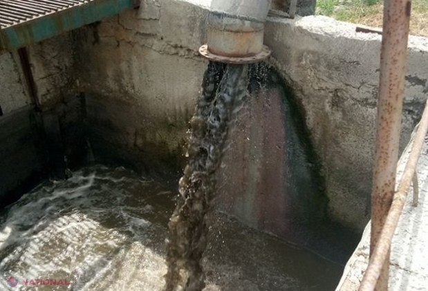 Unde sunt aruncate apele UZATE din gospodăriile care nu dispun de canalizare centralizată: AMENZI pentru deținătorii de autovindaje care aruncă deșeurile în natură