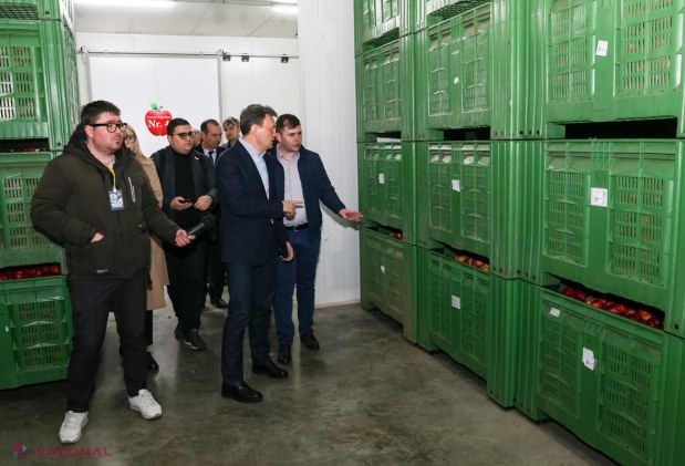 Producătorii de MERE din nordul R. Moldova nu mai mizează pe piața Federației Ruse. Dorin Recean: „Piețele europene oferă predictibilitate și oportunități pentru producătorii moldoveni”