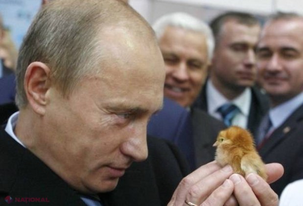 GALERIE FOTO. Cele mai „RIDICOLE”' ipostaze în care a fost surprins Vladimir Putin