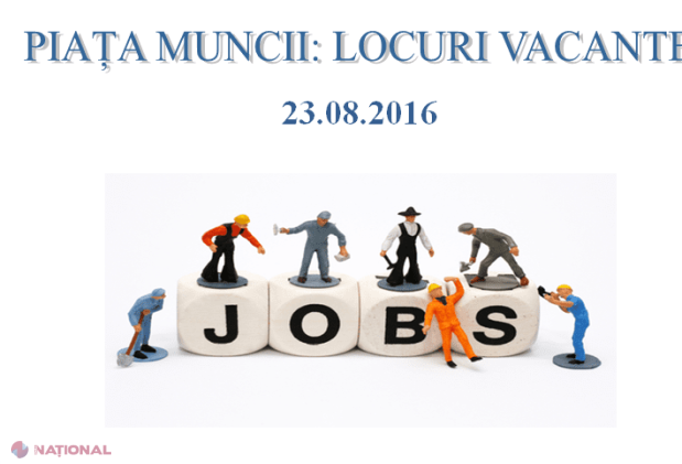 Numărul locurilor de muncă VACANTE, în CREȘTERE. Ce profesii sunt cele mai căutate acum în R. Moldova