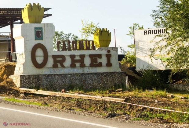 Trei cazuri de RABIE în R. Moldova, înregistrate în ultimele două săptămâni