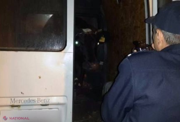 Doi tineri au furat o vacă de pe imaș. Cum și-au dat seama oamenii legii că ceva nu e în regulă