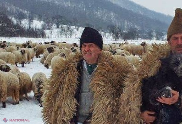 Viața a două familii de ciobani din R. Moldova, REFLECTATĂ într-un documentar autohton
