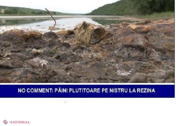 VIDEO //  Sute de pâini aruncate în râul Nistru