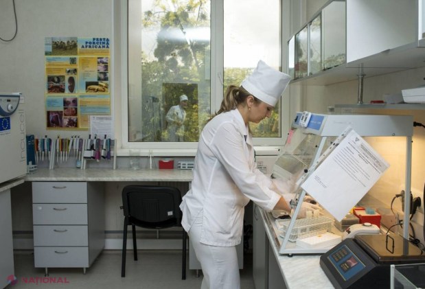 Organizația Națiunilor Unite pentru Alimentație și Agricultură afirmă că R. Moldova este PREGĂTITĂ pentru a controla pesta porcină