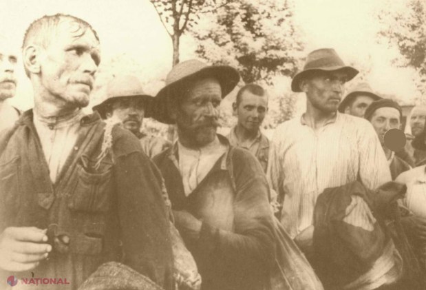 DOCUMENTAT: Ce pierderi umane a avut Basarabia pe timpul ocupației sovietice. Cifre DUREROASE