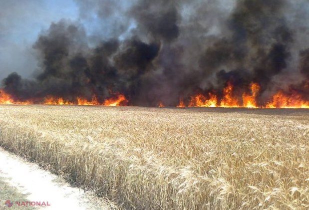 Un FULGER a ars ZECE hectare de grâu la Ștefan Vodă