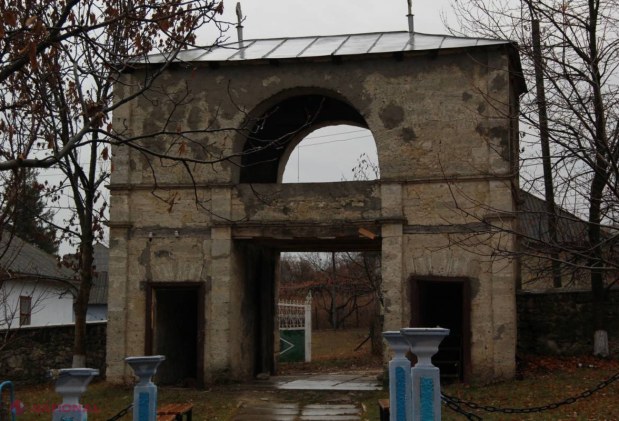 Copacul cu vârsta de peste 700 de ani din R. Moldova!