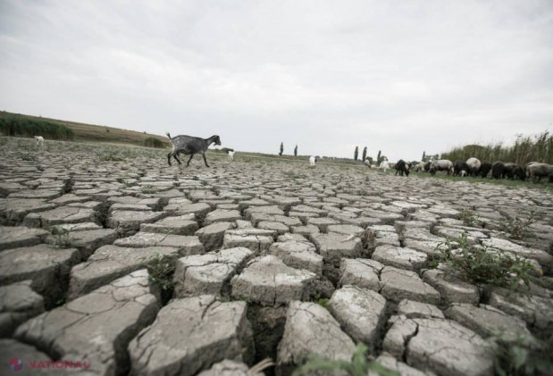 Prognoza meteo pentru AUGUST, SEPTEMBRIE și OCTOMBRIE: Ne aşteaptă TREI LUNI DE SECETĂ 