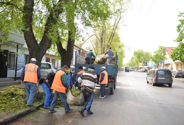 Crengile rupte și copacii doborâți, evacuați de pe 80% dintre străzile Chișinăului. Operațiunea de CURĂȚIRE a capitalei continuă si astăzi