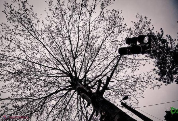 GALERIE FOTO // Se va transforma și Crimeea precum Abhazia? 