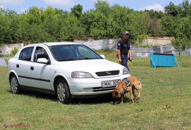 Câinii de pe urmele infractorilor au celebrat  Ziua Internațională a Chinologilor