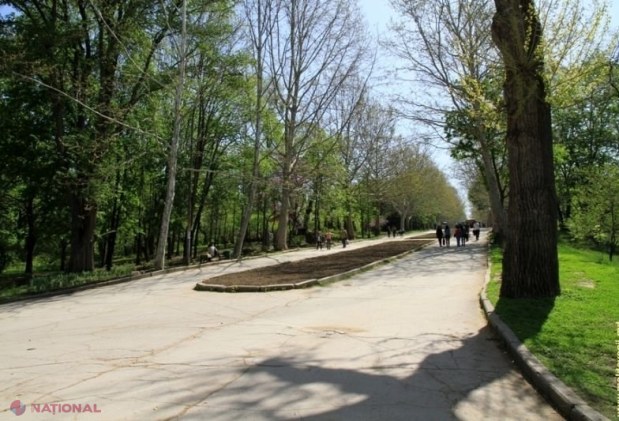 Parcurile „Valea Trandafirilor” şi „La Izvor” vor fi REABILITATE: Piste pentru bicicliști