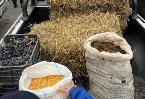 UPDATE, VIDEO // Tehnica agricolă a revenit în PMAN, după ce a trecut pe la Președinție, Parlament și Guvern. Niciun oficial nu a ieșit la discuții, iar fermierii anunță că NU pleacă din Chișinău